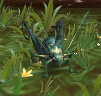 Image of Emerald Singer