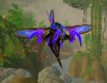 Florawing Needler Blue.jpg