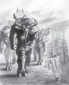 Tauren  members in the .