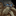IconSmall StoneGiant.gif
