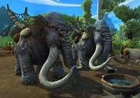 Image of Iskaara Mammoth