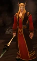 A male blood elf.