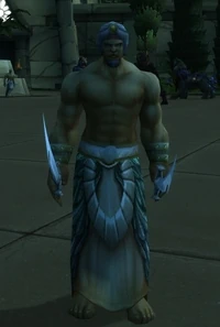 Image of Enslaved Bandit