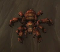 Image of Lurking Tarantula