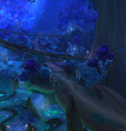 Path of Rebirth