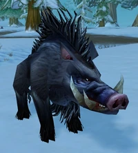 Image of Small Crag Boar