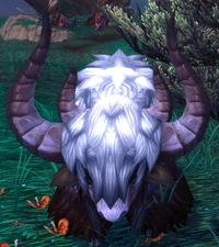 Image of Townlong Yak