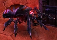 Image of Cursed Scarab