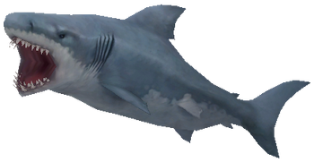 Great white shark.png