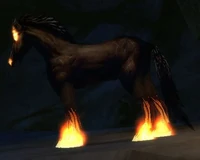 Image of Illusionary Nightmare