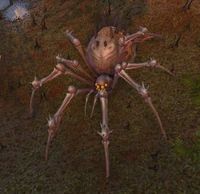 Image of Iriss the Widow