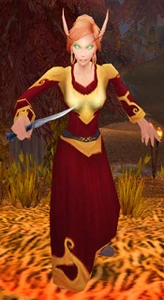 Image of Blood Elf Surveyor