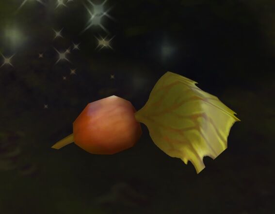 Fallen Kelp Bud.jpg