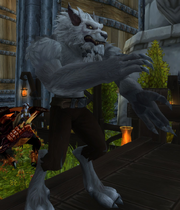 Genn Greymane worgen form