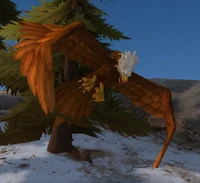 Image of Captured Eagle