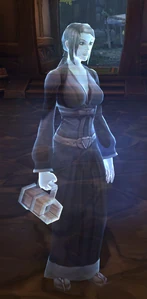 Image of Drunk Patron