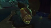 Fleshshaper's Heart