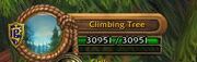 Climbing Tree plate.jpg