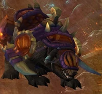 Image of Amani Warbear