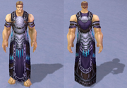 Ebonweave Robe