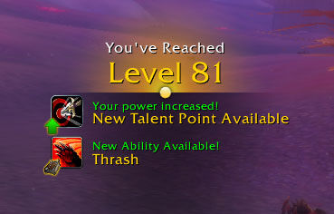 Leveling overlay.jpg