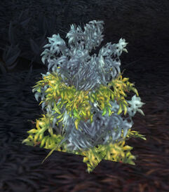 Moonleaf as seen in game