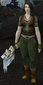 Image of North Fleet Salvager
