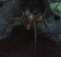 Image of Sister Chelicerae