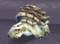 Image of Sparkleshell Snapper