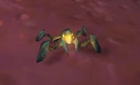 Image of Topaz Shale Hatchling