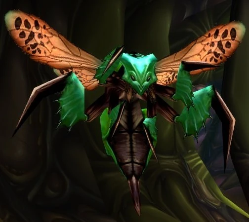 [UNUSED] Hive'Zara Scout