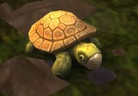 Image of Softshell Snapling