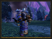 Townhall TBC Shamans2.jpg