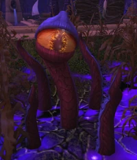 Image of Foul Observer