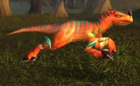 Image of Highland Raptor