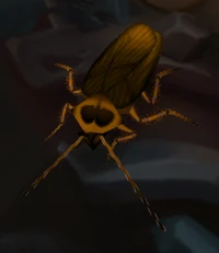 Image of Junkpile Roach