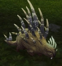 Image of Malayan Quillrat