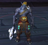 Image of Veteran Wingrider