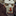 IconSmall Hozen.gif