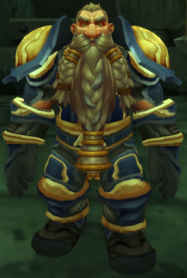 dwarf paladin transmog