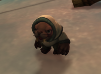 Image of Kaia