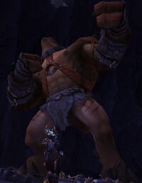 Image of Maggoc