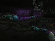Skitterweb Tunnels