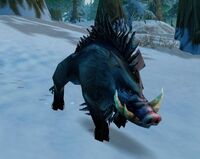 Image of Large Crag Boar