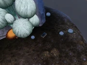 Maziel's Journal