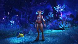 BlizzCon 2019 - Ardenweald.jpg