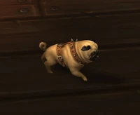 Image of Chloe