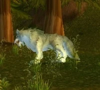 Image of Mangy Silvermane