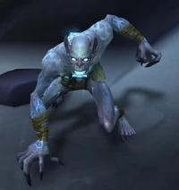 Image of Pale Gloomstalker