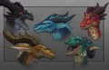 Dracthyr faces.